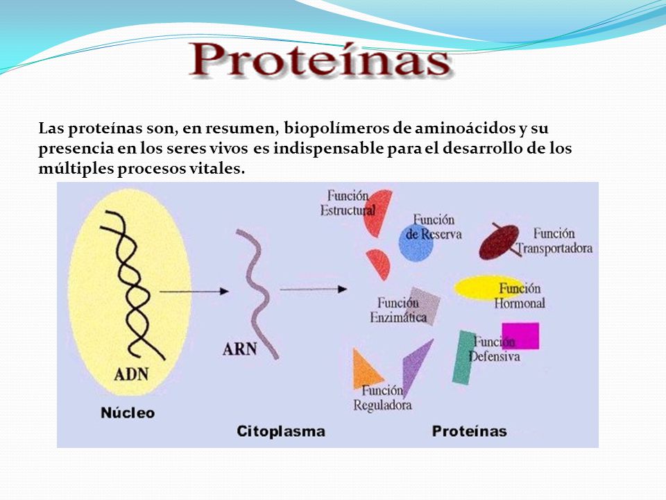 como pedir un préstamo como pedir un préstamo